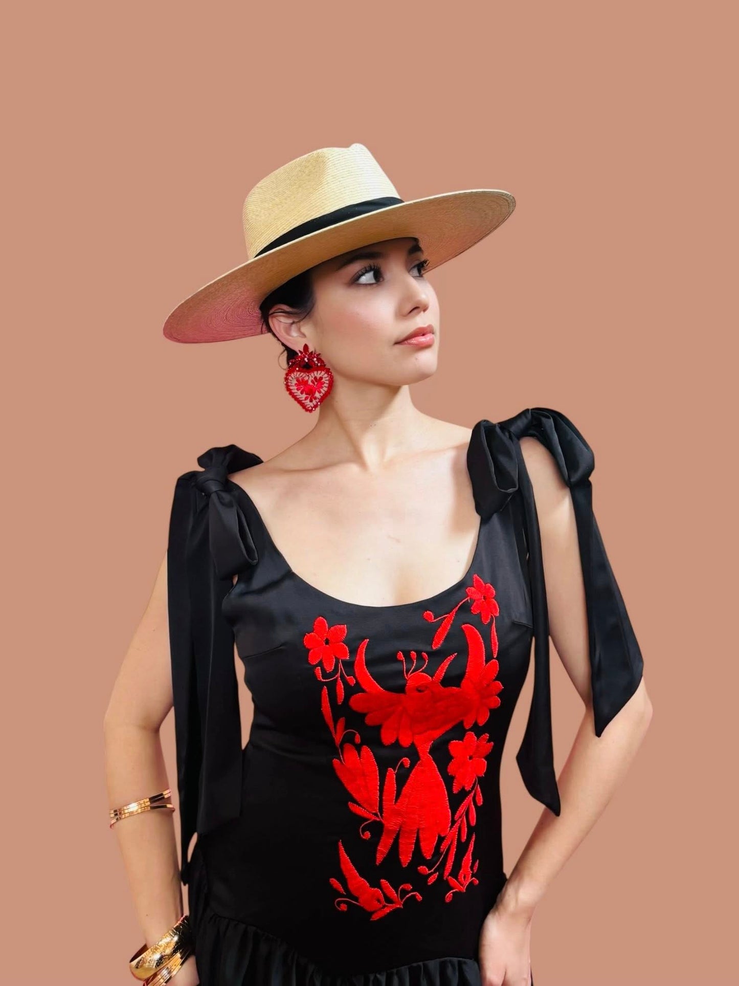 Roxanna Otomi Embroidered Dress